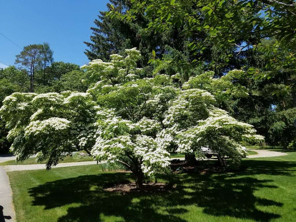 Kelsey Arboretum | 18 Kelsey Rd, Boxford, MA 01921, USA