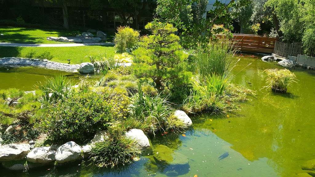 Japanese Garden | 3801 W Temple Ave, Pomona, CA 91768, USA | Phone: (909) 869-3030