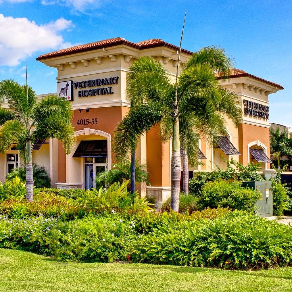 Veterinary Specialty Hospital of Palm Beach Gardens | 4019 Hood Rd, Palm Beach Gardens, FL 33410, USA | Phone: (561) 625-9995