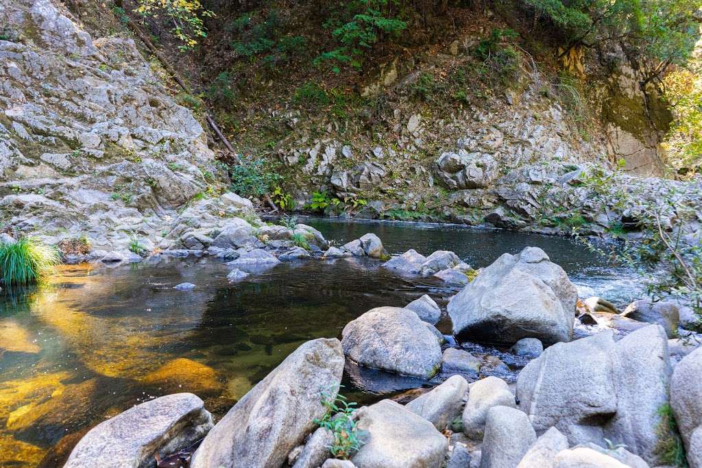 Garden Of Eden Henry Cowell Redwood State Park Ca 9 Felton