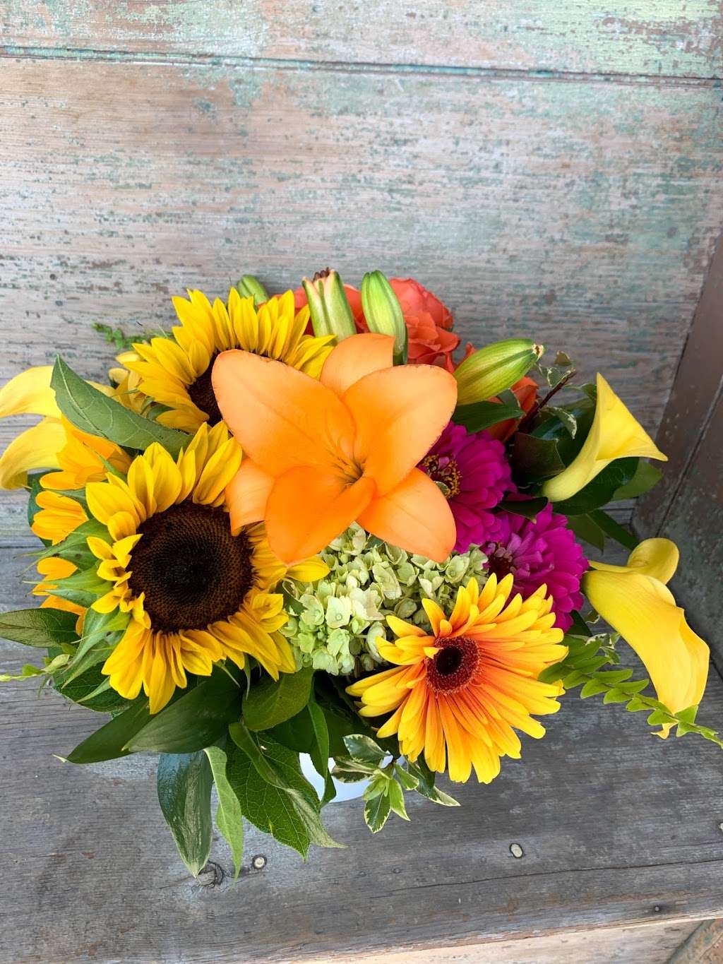 Stevens The Florist | 160 South St, Plymouth, MA 02360, USA | Phone: (800) 281-2601