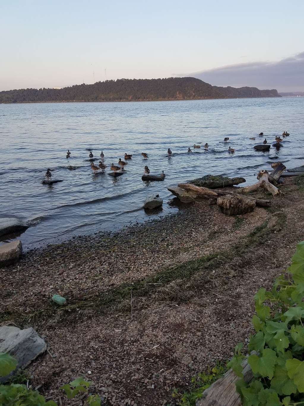 Klines Run Park | PA-624, Wrightsville, PA 17368, USA