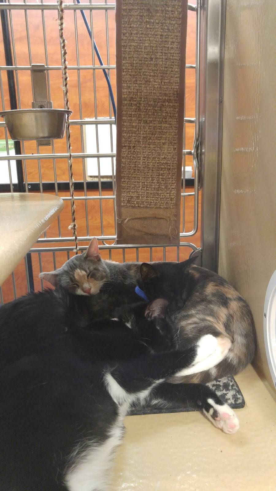 PetSmart | 2760 W 120th St, Hawthorne, CA 90250, USA | Phone: (323) 336-9567