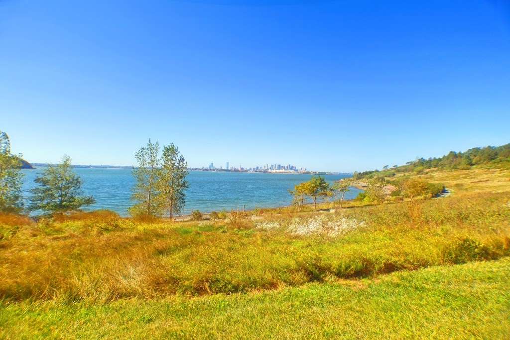 Spectacle Island | Boston, MA, USA