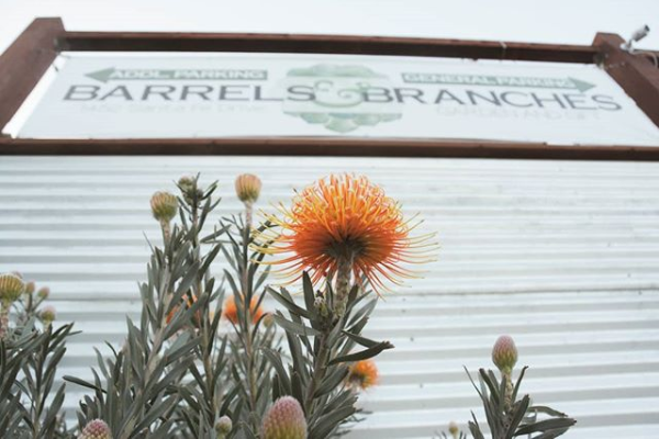 Barrels & Branches | 1452 Santa Fe Dr, Encinitas, CA 92024, USA | Phone: (760) 753-2852