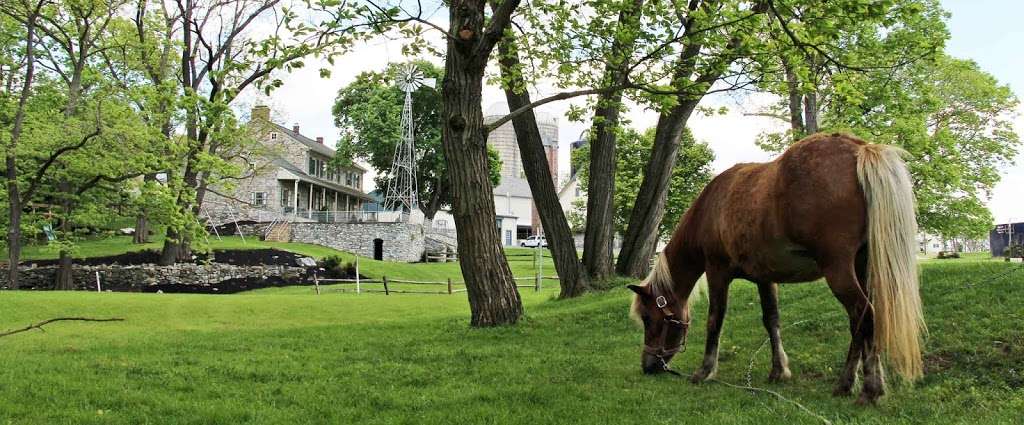 Rocky Acre Farm Bed & Breakfast | 1020 Pinkerton Rd, Mount Joy, PA 17552, USA | Phone: (717) 653-4449