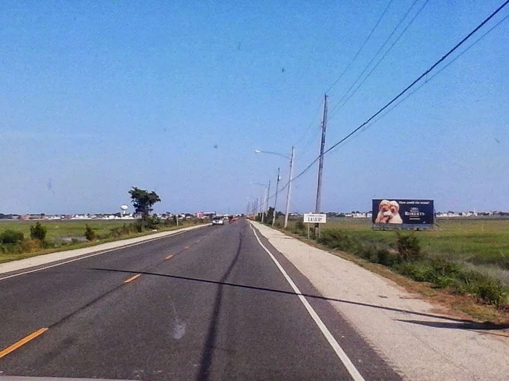 Pork Island Wildlife Management Area | Longport, NJ 08403