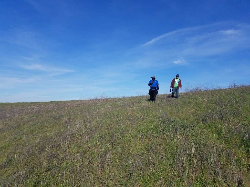 Ten Trees, Old Valley Oak | Martinez, CA 94553, USA