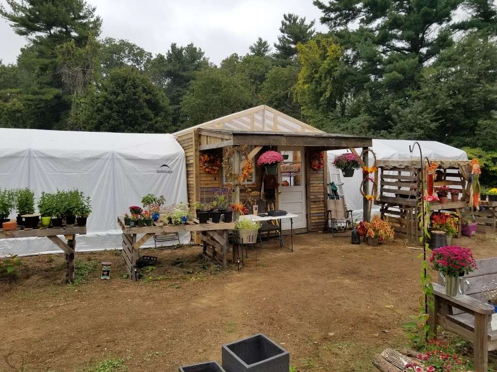 Wood Family Gardens | 478 Winthrop St, Rehoboth, MA 02769, USA | Phone: (508) 369-0116