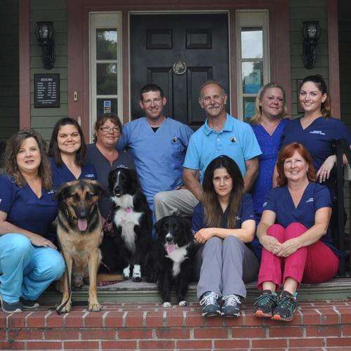 Caroline Veterinary Clinic | 9 N Central Ave, Ridgely, MD 21660, USA | Phone: (410) 634-2666