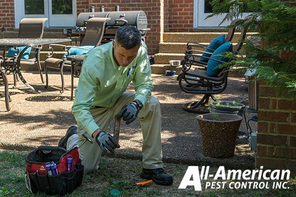 All-American Pest Control | 2259 Jackson Downs Blvd, Nashville, TN 37214, USA | Phone: (615) 883-8526