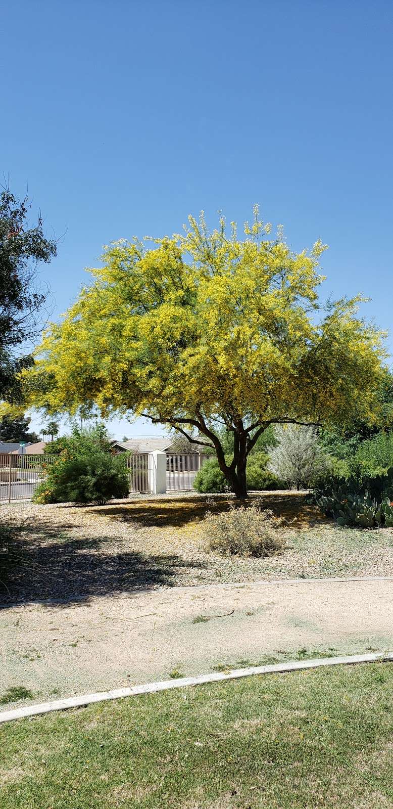 Elsie McCarthy Sensory Garden | 7527-, 7599 N 55th Ave, Glendale, AZ 85301, USA