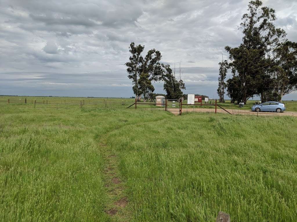 Jepson Prairie Preserve | 4845 Cook Ln, Dixon, CA 95620, USA