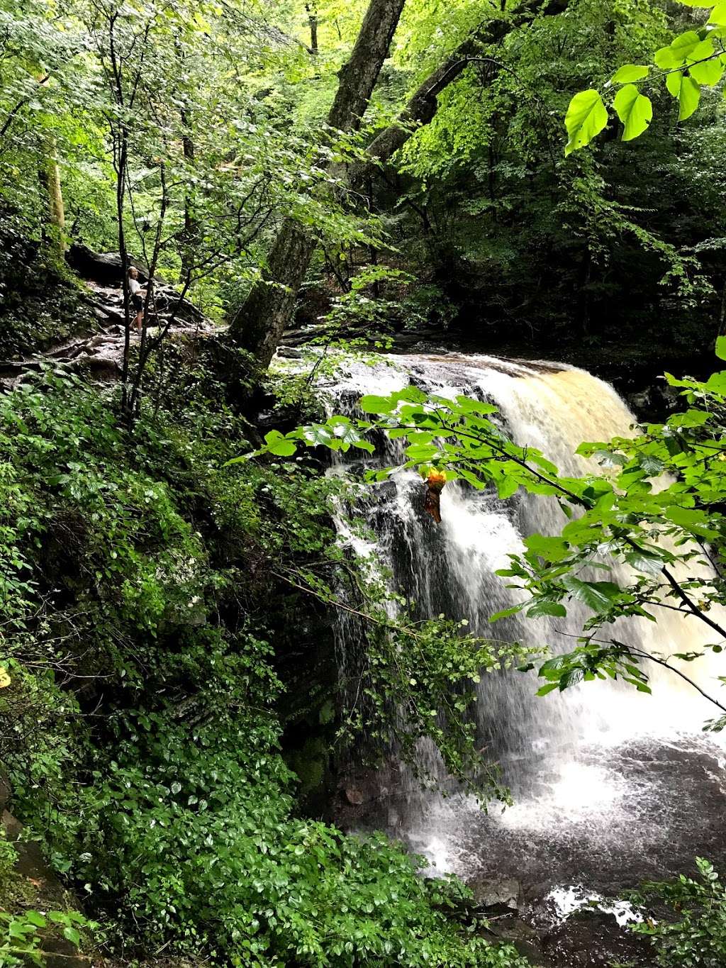 Sheldon Reynolds Waterfall | Sweet Valley, PA 18656, USA | Phone: (570) 477-5675