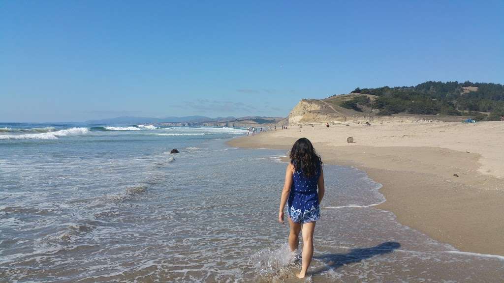 San Gregorio State Beach | 20063 Cabrillo Hwy S, Half Moon Bay, CA 94019, USA | Phone: (650) 726-8819