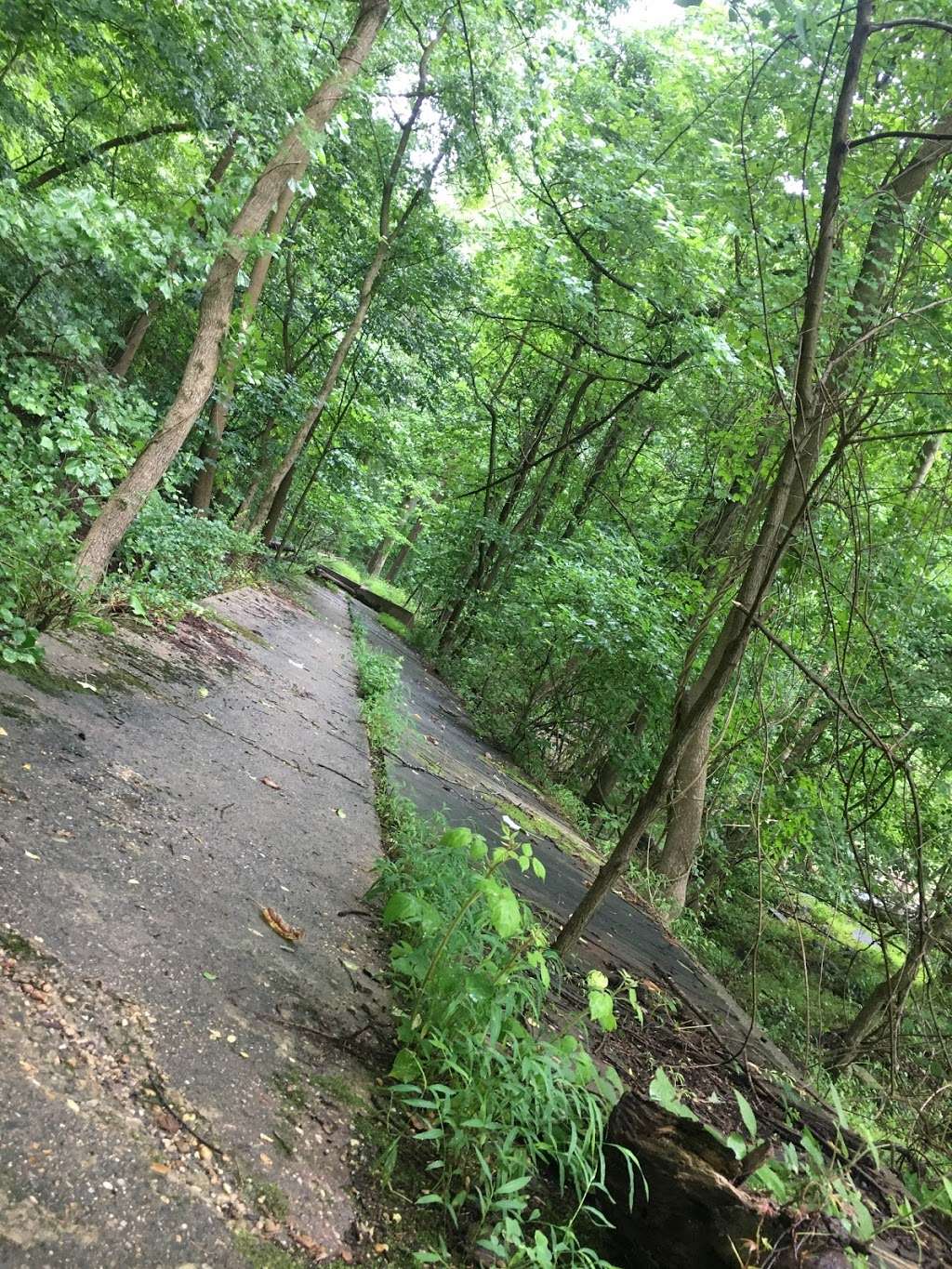 Patapsco-Thru Trail Loop | Catonsville, MD 21228