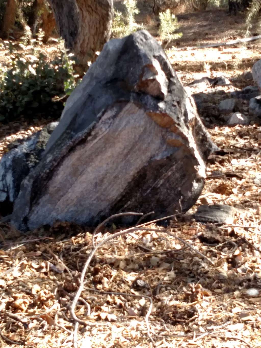 Stone Cinema Engineering | 2025 Bernina Dr, Frazier Park, CA 93225, USA | Phone: (661) 242-8490