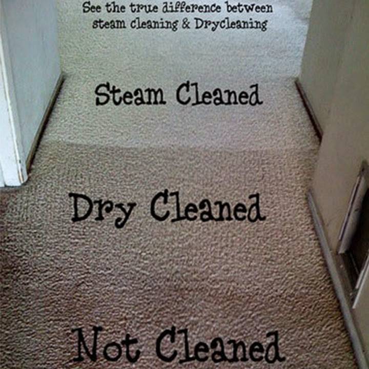 All Steam Carpet & Tile Cleaning | 120 Tilden Ave, Chesapeake, VA 23320, USA | Phone: (757) 432-1531