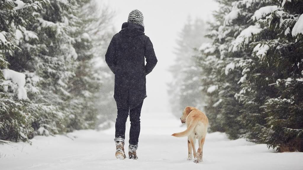 Banfield Pet Hospital | 3340 West, FM 544 #800, Wylie, TX 75098, USA | Phone: (972) 429-5468 Banfield Pet Hospital | 3340 West, FM 544 #800, Wylie, TX 75098, USA | Phone: (972) 429-5468