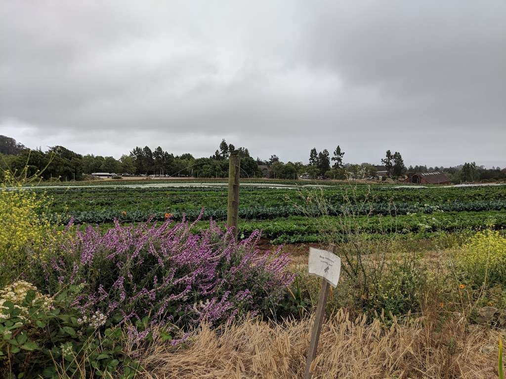 Life Lab | 1156 High St, Santa Cruz, CA 95064, USA | Phone: (831) 459-2001