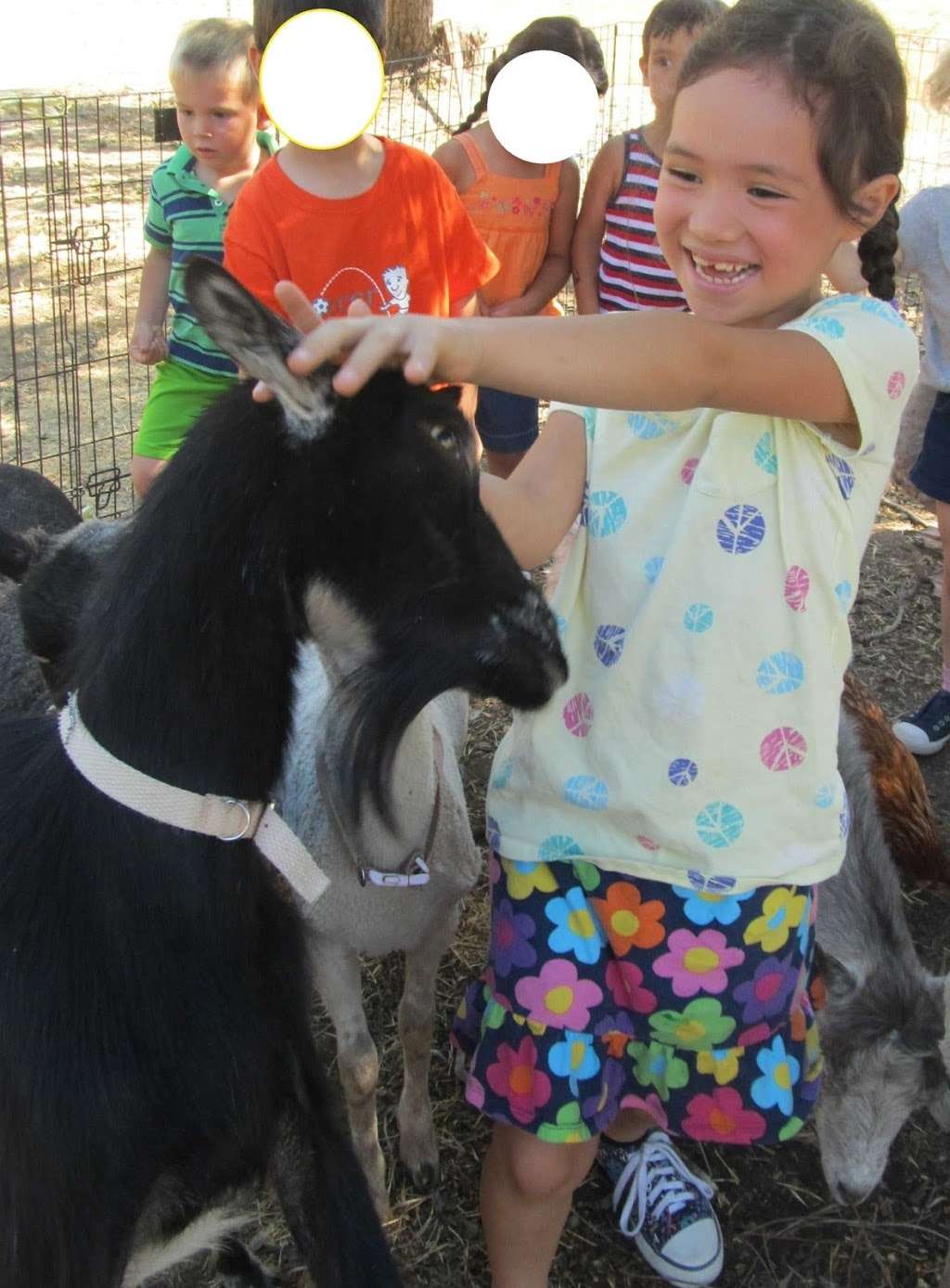 The Language Grove Community Preschool | 9550 Haskell Ave, North Hills, CA 91343 | Phone: (818) 892-7100