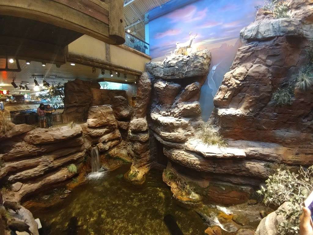 The Aquarium at the Silverton Hotel | 3333 Blue Diamond Rd, Las Vegas, NV 89139, USA | Phone: (702) 263-7777