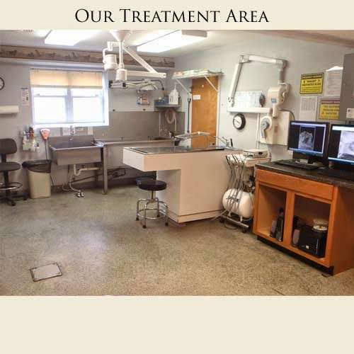 Animal Health Clinic of Funkstown | 26 E Baltimore St, Funkstown, MD 21734