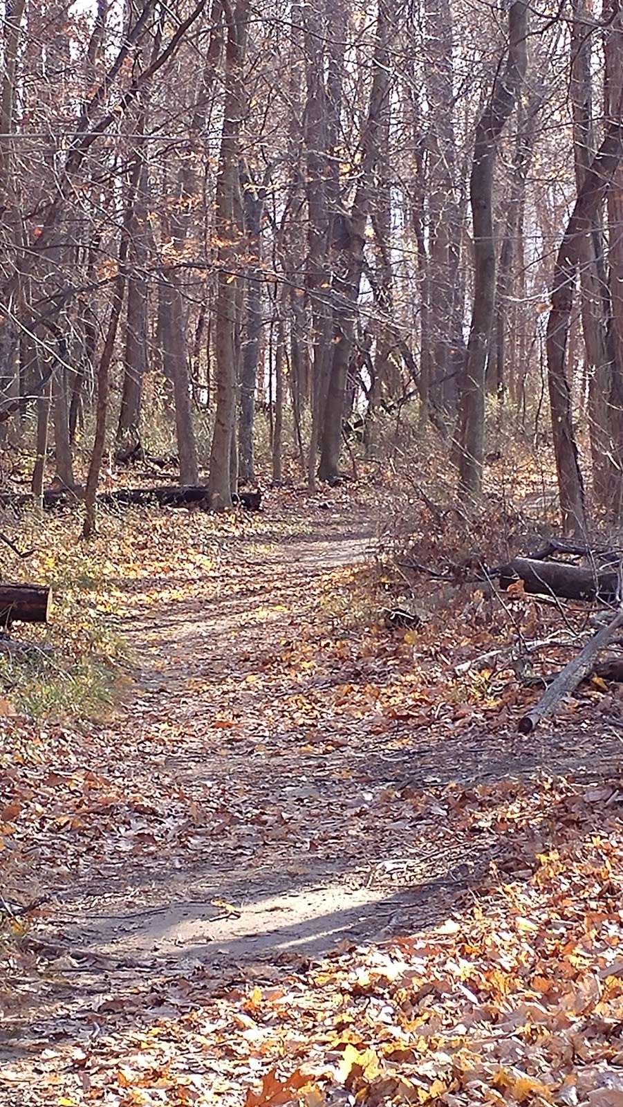 Dennings Point State Park | Dennings Point Trail, Beacon, NY 12508, USA