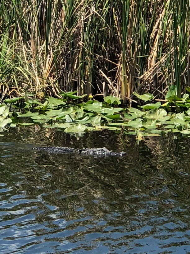 Parking Area | Florida