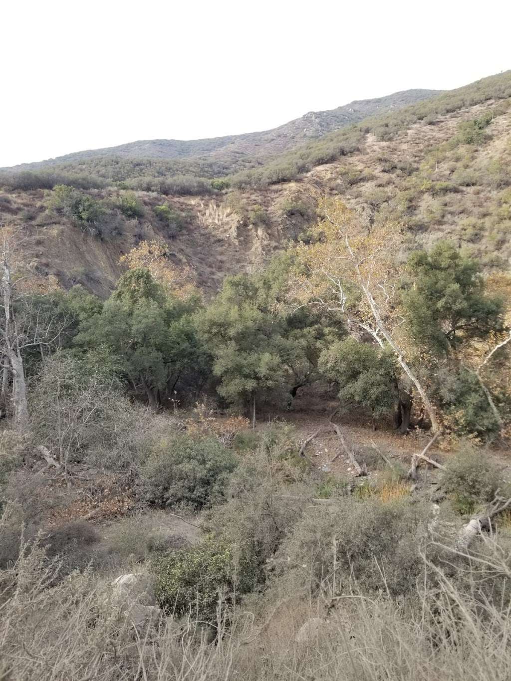 Falls Canyon Trailhead | Silverado, CA 92676