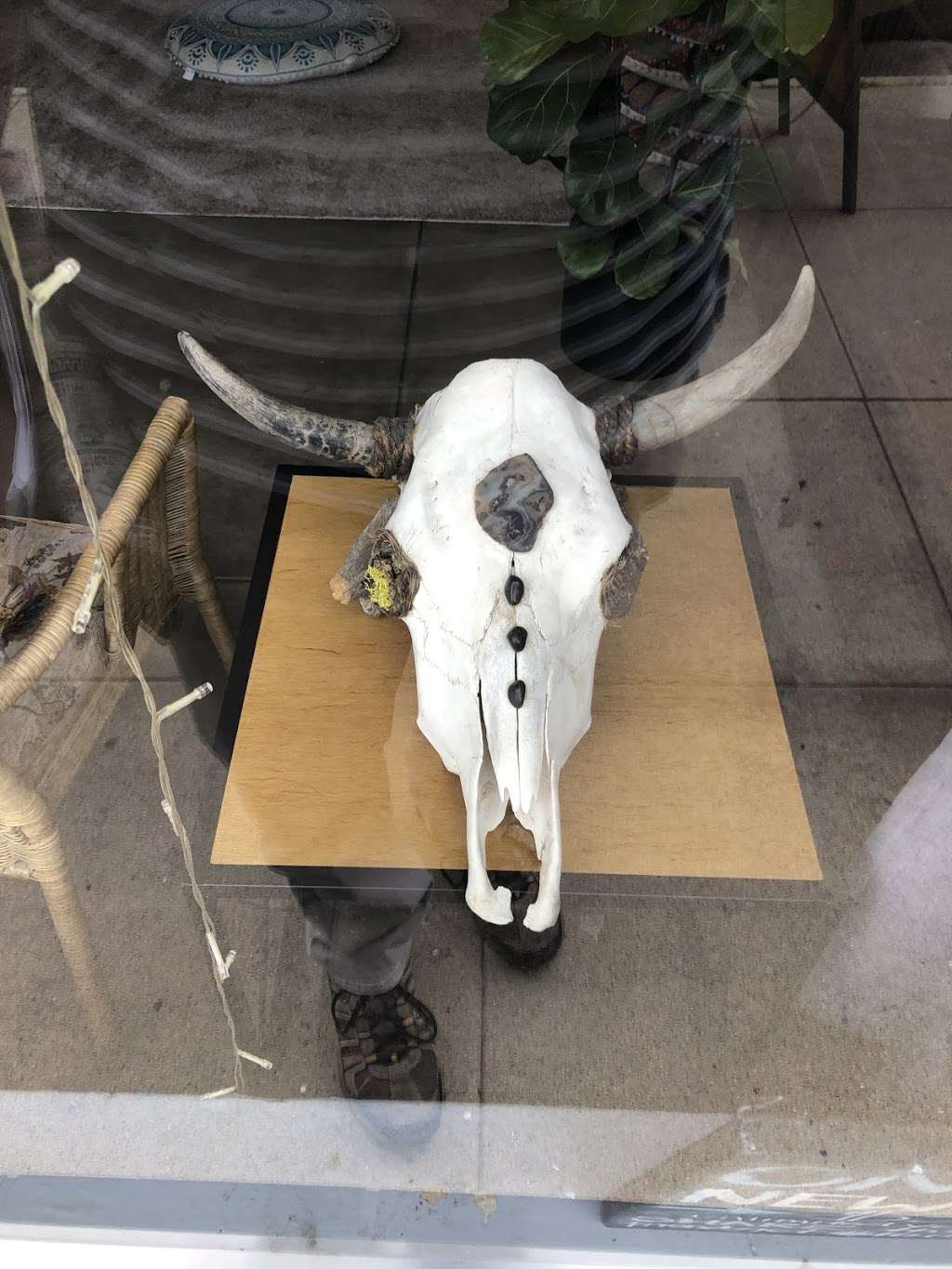 One Life Yoga | 1365 N Hill Ave #1359, Pasadena, CA 91104, USA | Phone: (626) 714-7447