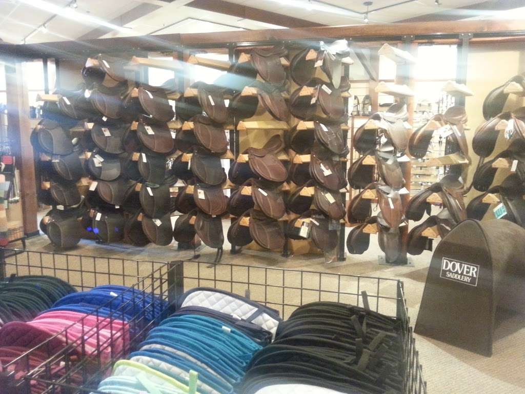 Dover Saddlery | 3150 US-22 #8, Branchburg, NJ 08876, USA | Phone: (908) 704-0101