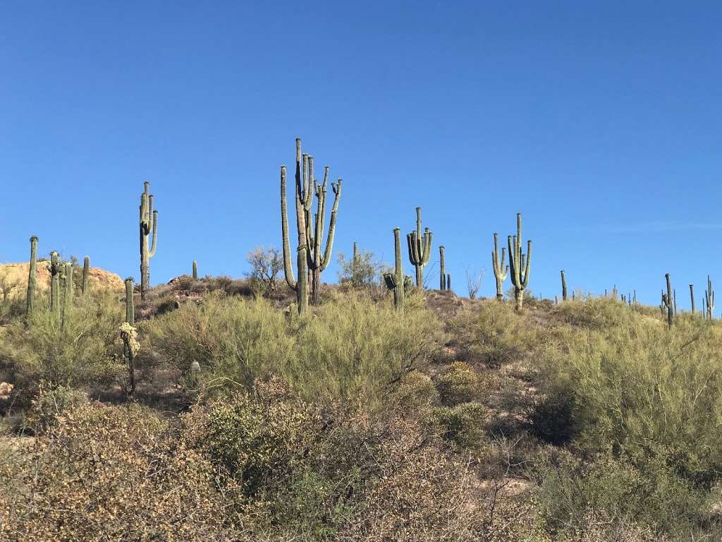 Mountain Park Ranch Hiking Trail | 2838 E Ray Rd, Phoenix, AZ 85048, USA