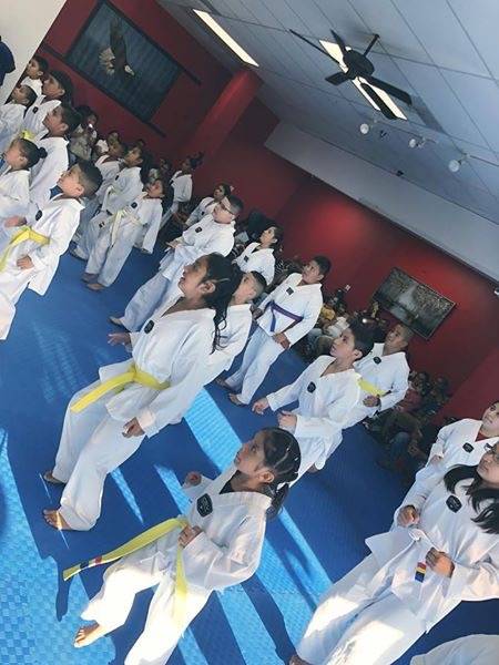 eagle taekwondo takes martial arts training to new heights | 1418 Avondale Dr, Durham, NC 27701, USA | Phone: (919) 824-8147
