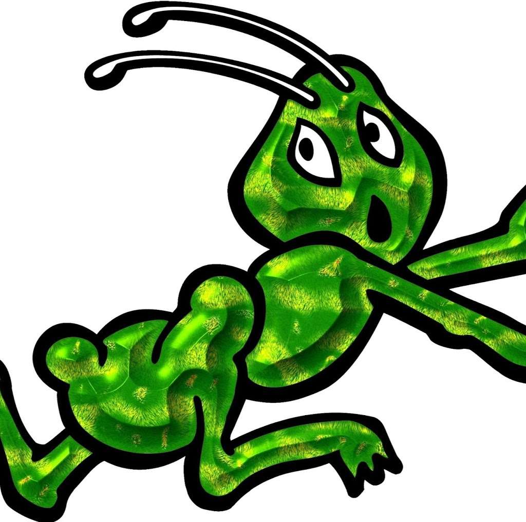 ASAP Pest Control & Termite | 611 Ramona Ave, Spring Valley, CA 91977, USA | Phone: (619) 460-8180