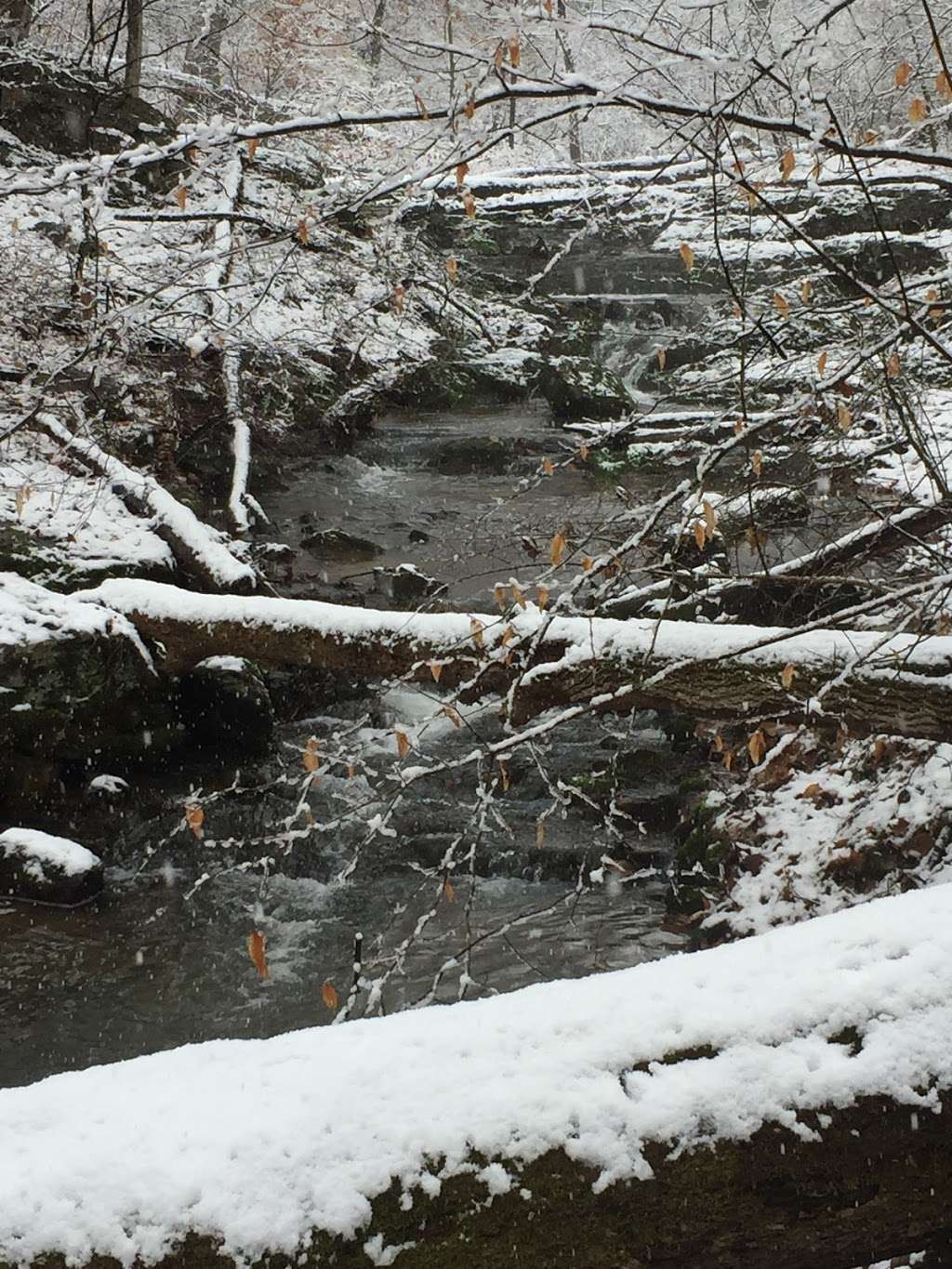 Peacock Rd. Creek Launch | 3101 Peacock Rd, Robesonia, PA 19551, USA