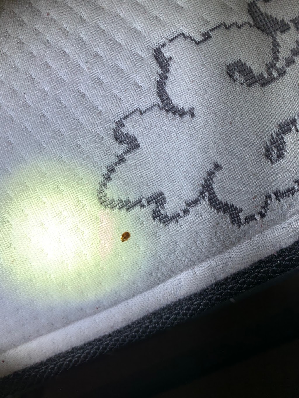 High Sierra Evolved Pest Control | 7235 Burns Way, San Antonio, TX 78250, USA | Phone: (210) 355-9350 High Sierra Evolved Pest Control | 7235 Burns Way, San Antonio, TX 78250, USA | Phone: (210) 355-9350