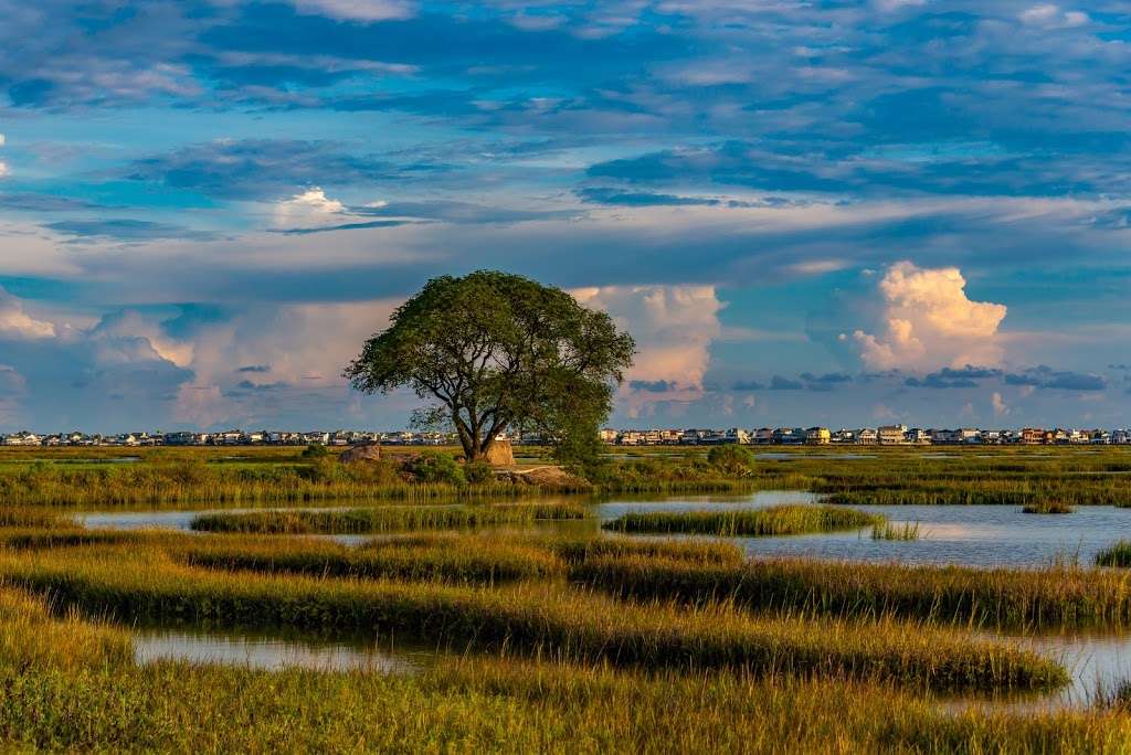 John M. OQuinn Nature Preserve | 2441 Hwy 6, Hitchcock, TX 77563