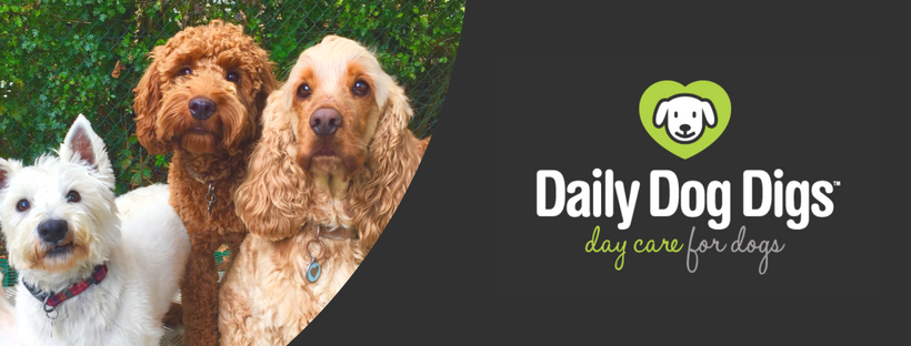 Daily Dog Digs | Dial Post Park, Rusper, Horsham RH12 4QX, UK | Phone: 01293 871119