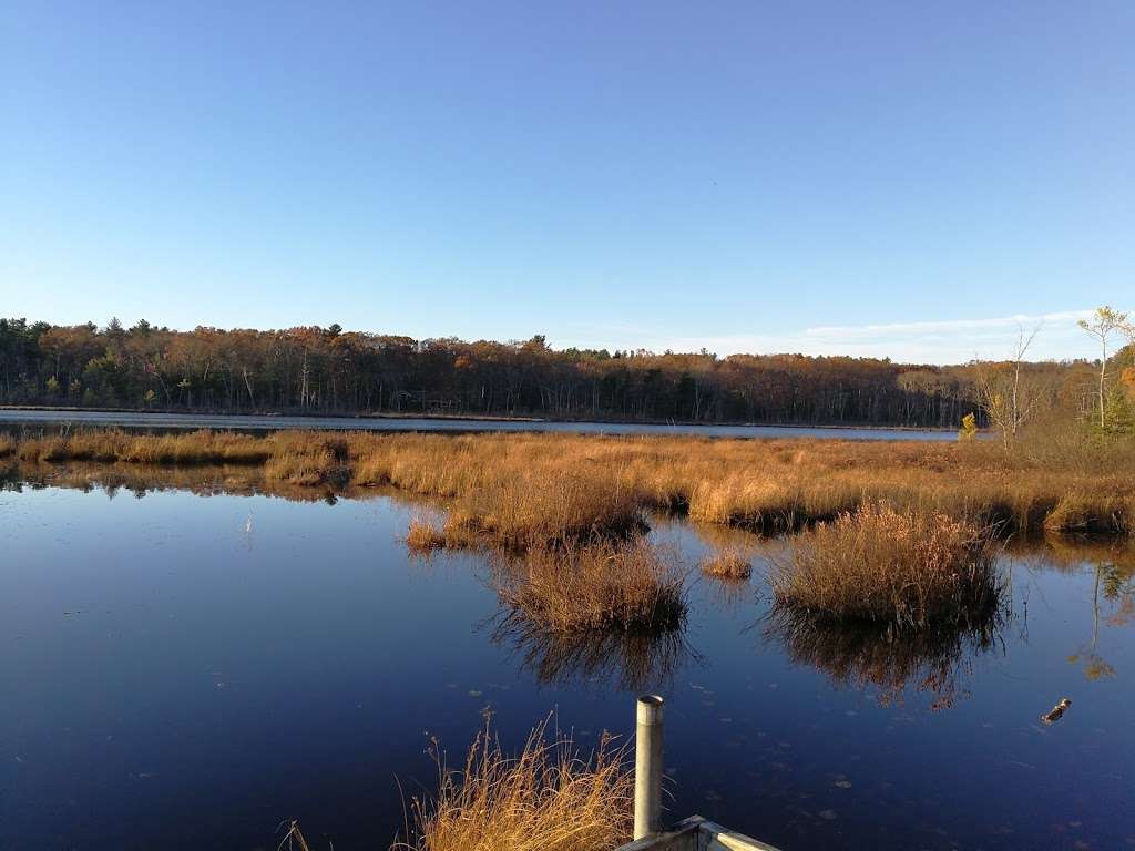 Grassy Pond Conservation Area | Acton, MA 01720, USA | Phone: (978) 929-6640