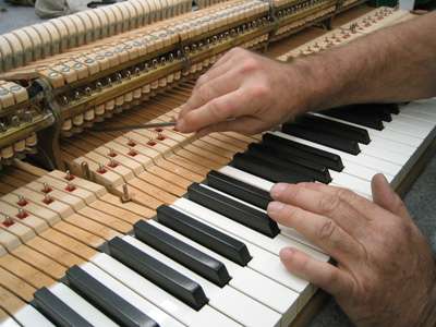 Bruce Johnson Piano Service | 5193 Zinnia St, Arvada, CO 80002 | Phone: (303) 421-9167