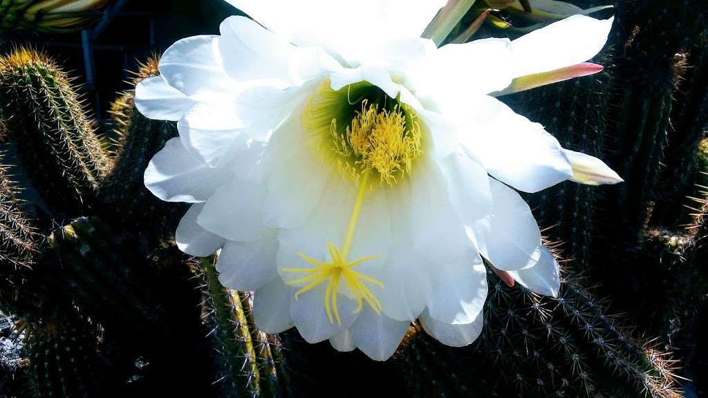 Poinsettia Mobile Home Family Park 13648 Edgemoor St, Poway, CA 92064