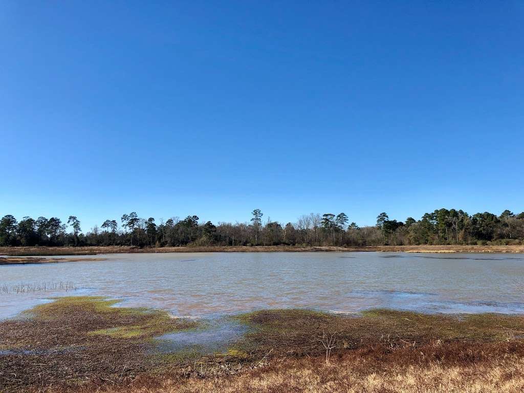 Spring Creek Nature Trail | Tomball, TX 77375, USA