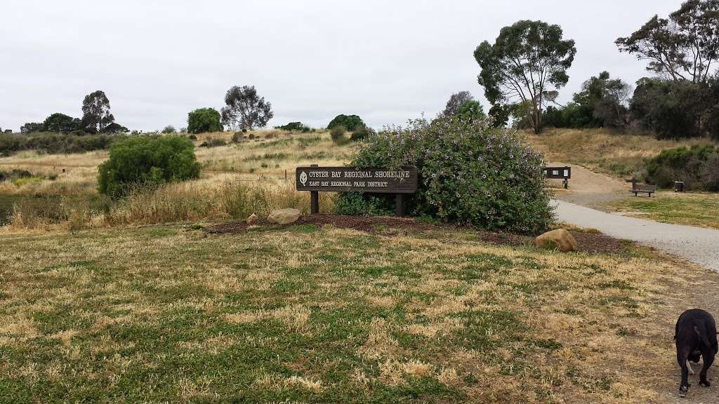 Oyster Bay Regional Shoreline Staging Area | 1600 Neptune Dr, San Leandro, CA 94577, USA | Phone: (888) 327-2757