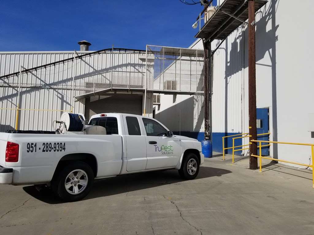 TruPest Solutions | Linden St, Riverside, CA 92507, USA | Phone: (951) 334-5288