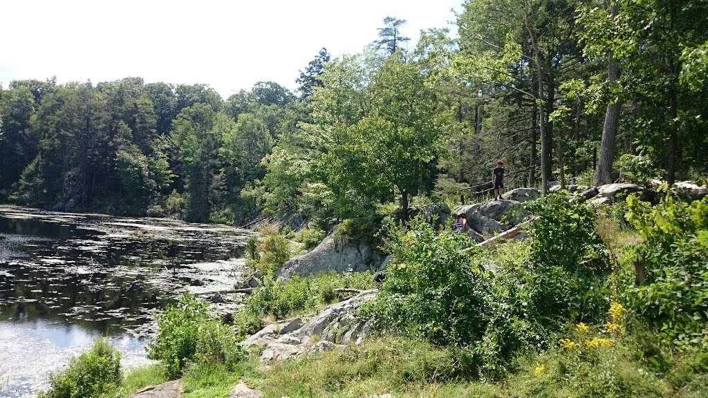 Pelton Pond - Fahnestock State Park | 1088 Cold Spring Turnpike, Hopewell Junction, NY 12533, USA | Phone: (845) 225-7207