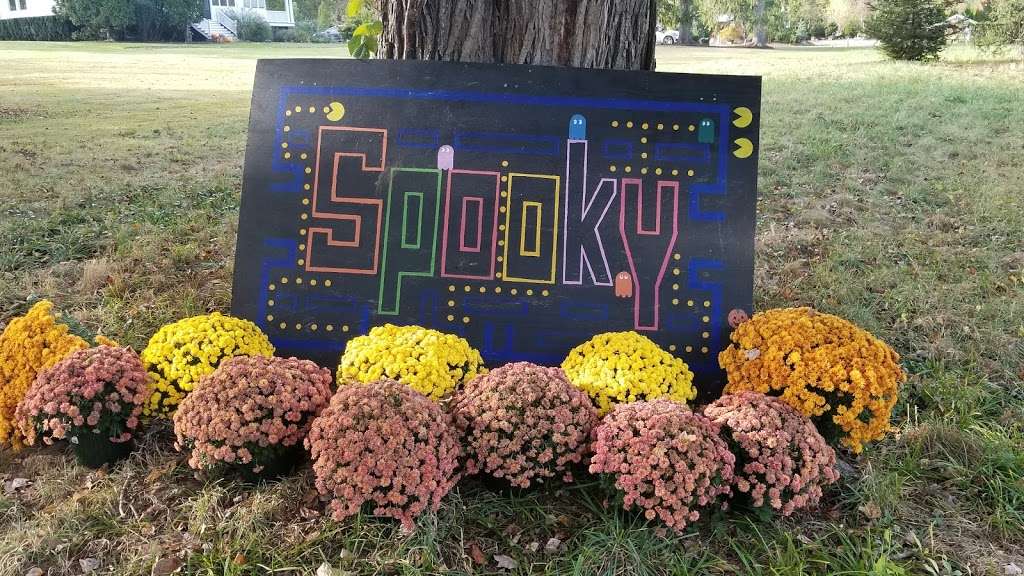 Sam Bridge Nursery & Greenhouses, LLC | 437 North Street, Greenwich, CT 06830, USA | Phone: (203) 869-3418