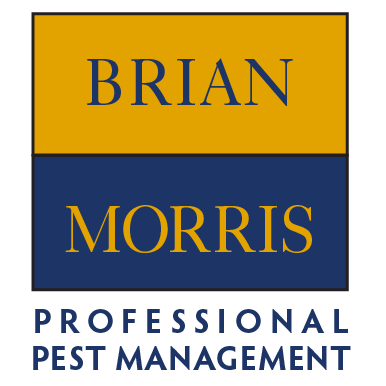 Brian Morris Prof Pest Management | 17956 Taylor Rd, Jupiter, FL 33478, USA | Phone: (561) 746-5668