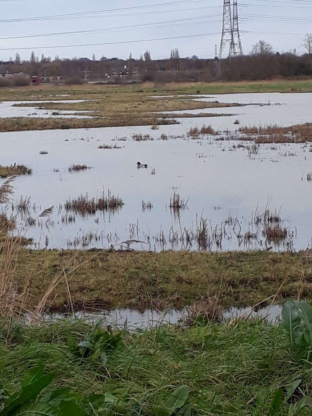 R.S.P.B. Purfleet Environment & Education Centre | R.S.P.B. Purfleet Environment & Education Centre, Purfleet RM19 1ZX, UK