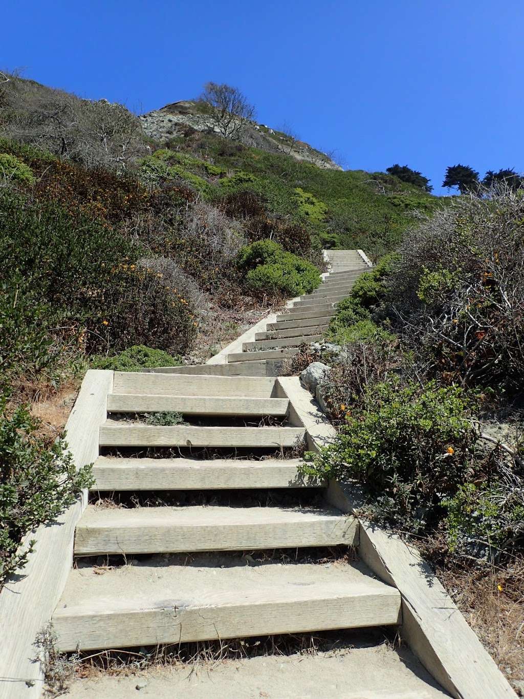 Marshalls Beach park | San Francisco, CA 94129, USA